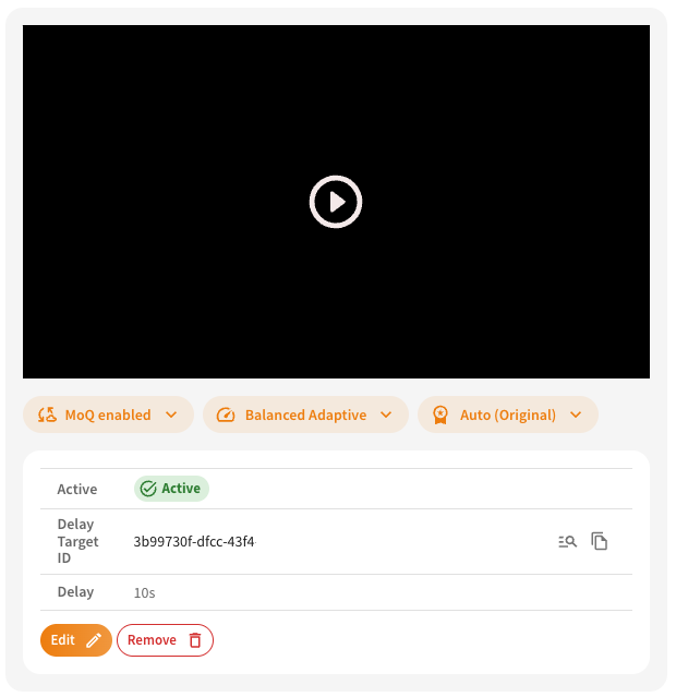 Screenshot: Delay Setup Overview