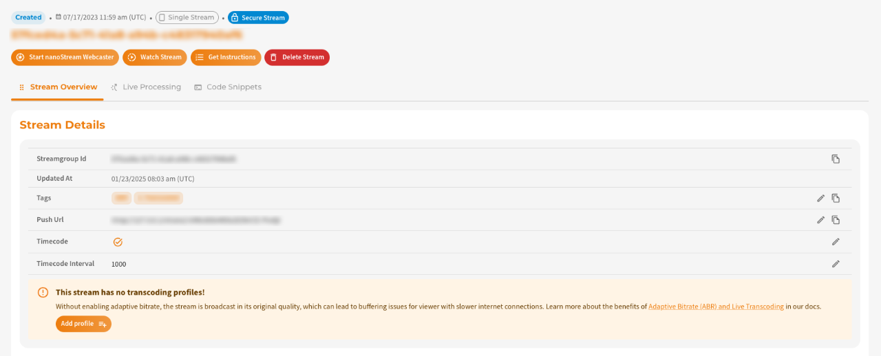 Screenshot: Single Stream View